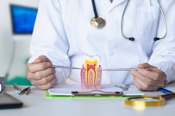 Best Urgent Dental Care for Toothache in Gretna, VA